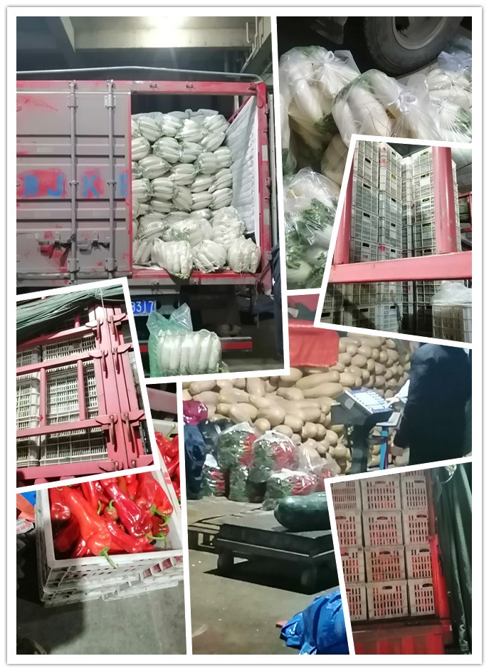 XPJ(中国大陆)有限公司官网