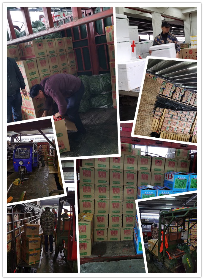 XPJ(中国大陆)有限公司官网