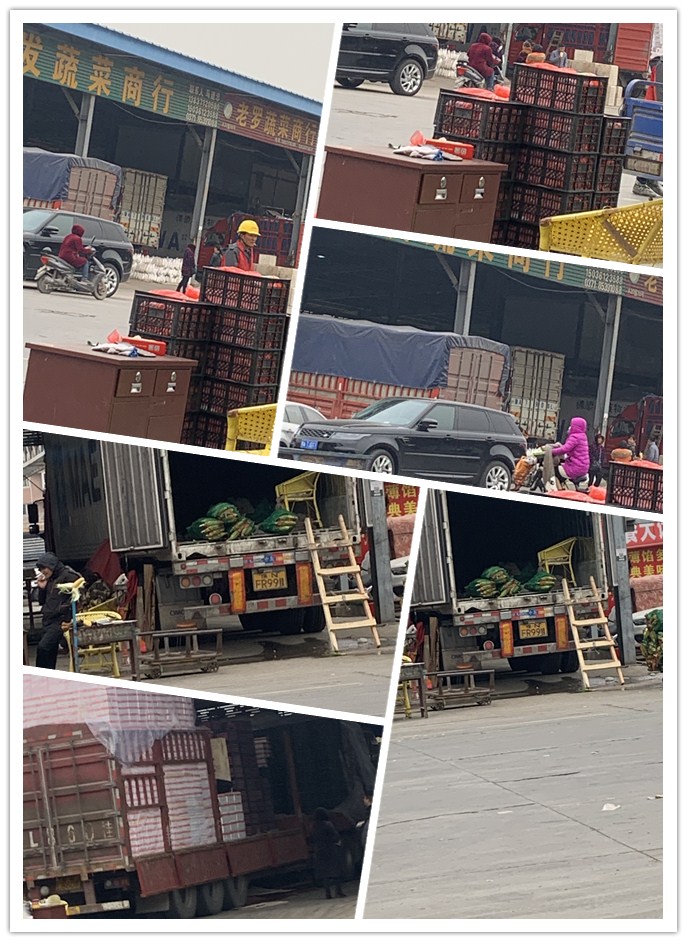 XPJ(中国大陆)有限公司官网