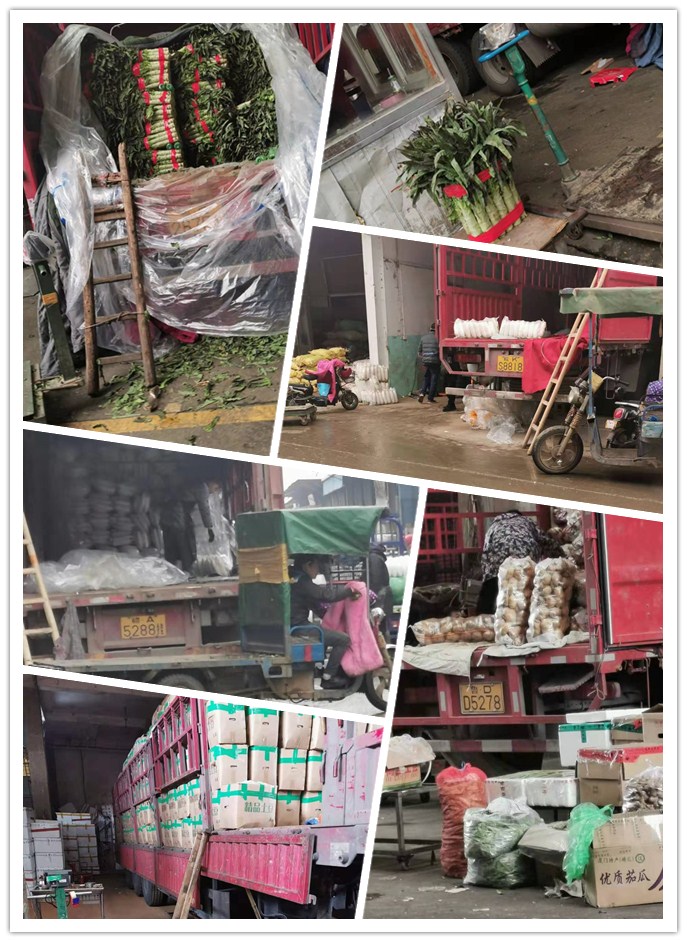 XPJ(中国大陆)有限公司官网