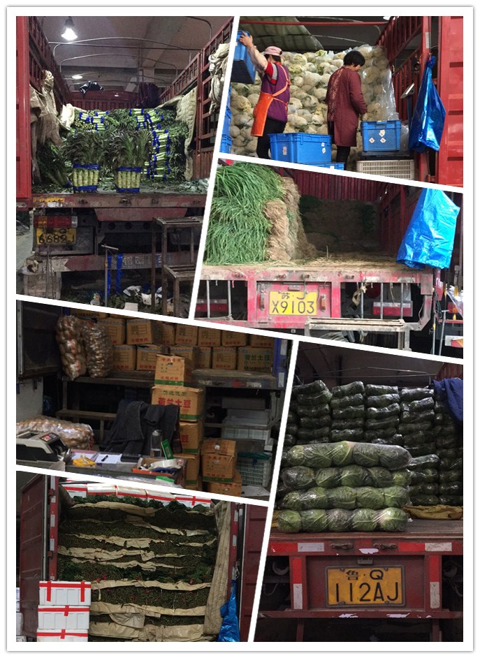 XPJ(中国大陆)有限公司官网