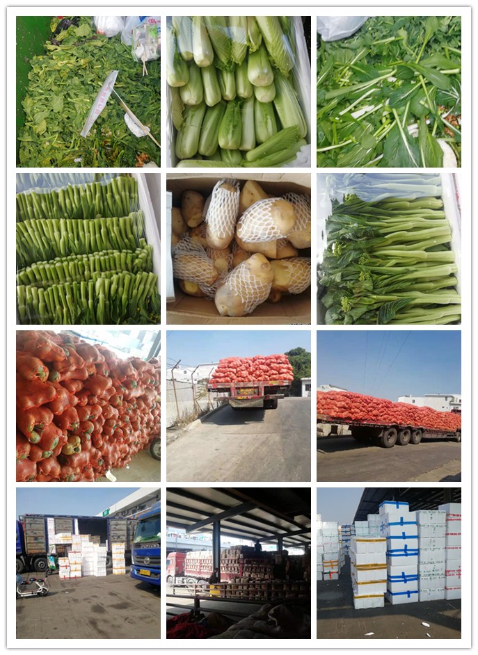 XPJ(中国大陆)有限公司官网