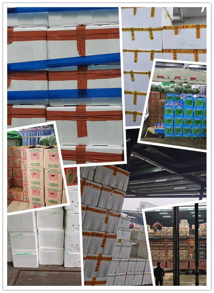 XPJ(中国大陆)有限公司官网