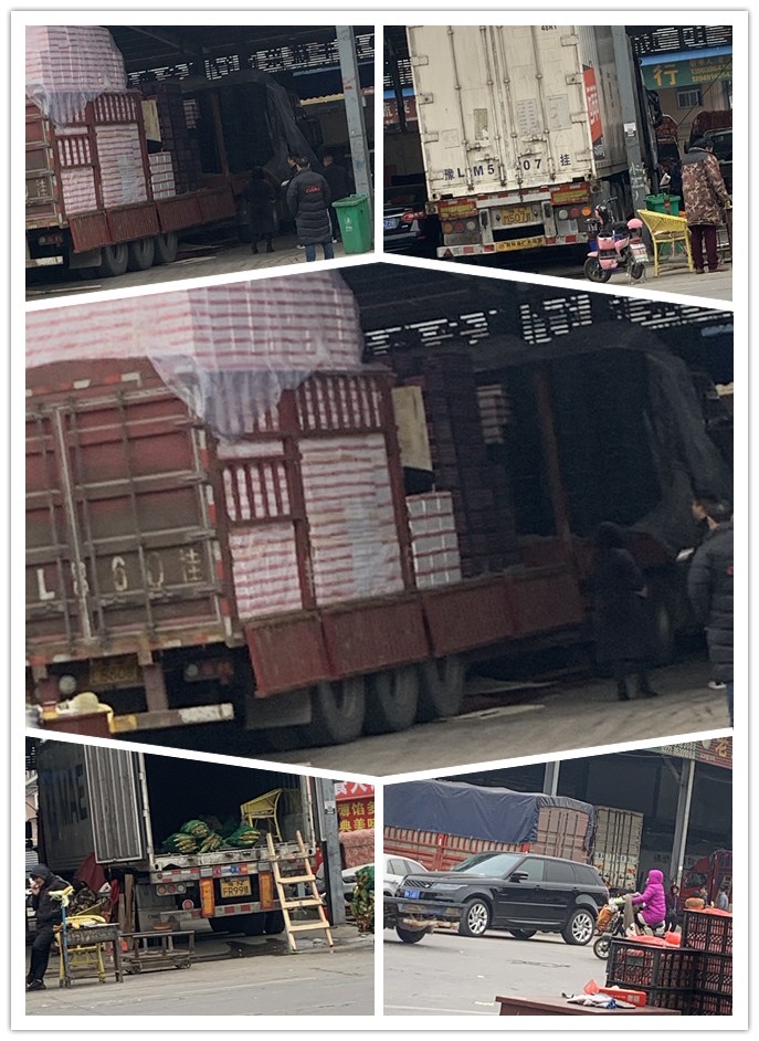 XPJ(中国大陆)有限公司官网