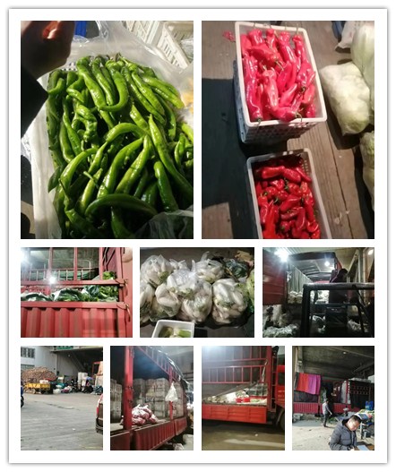 XPJ(中国大陆)有限公司官网