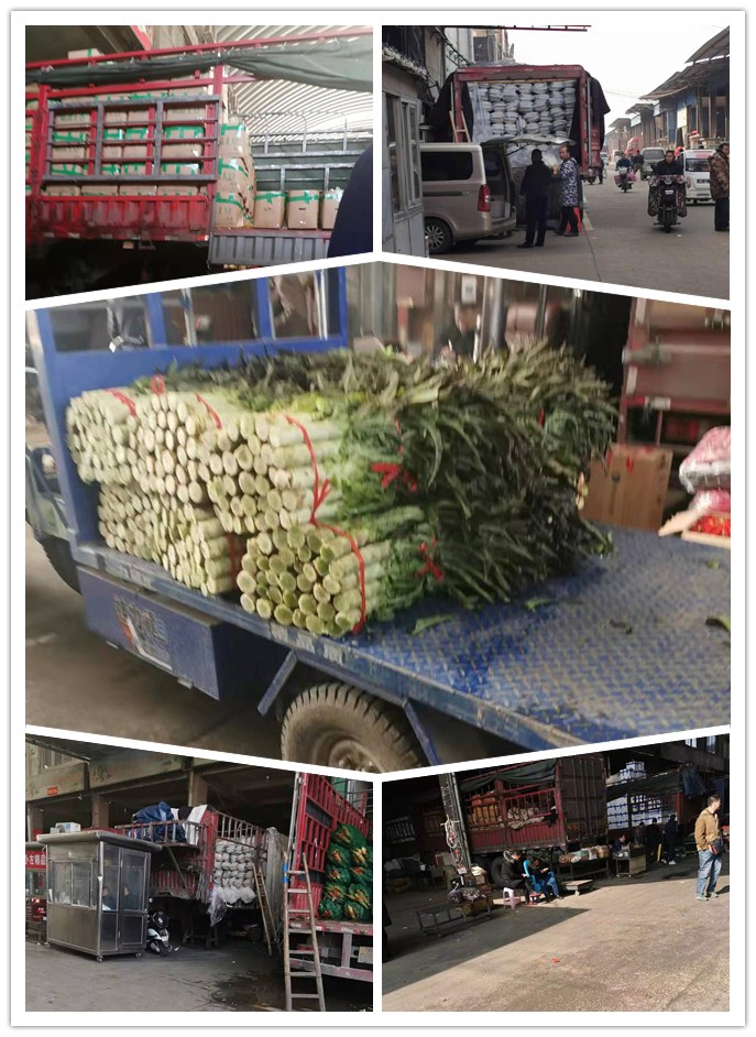 XPJ(中国大陆)有限公司官网