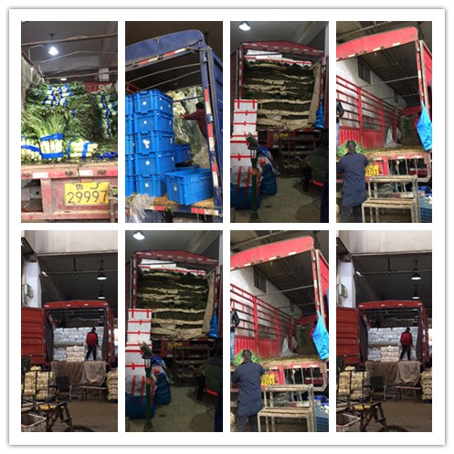 XPJ(中国大陆)有限公司官网