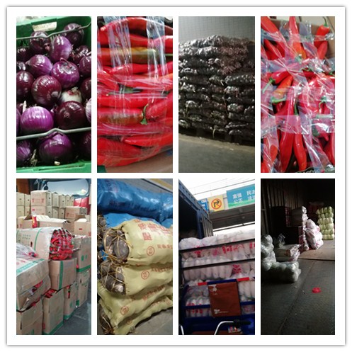 XPJ(中国大陆)有限公司官网