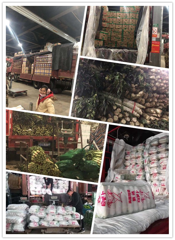 XPJ(中国大陆)有限公司官网