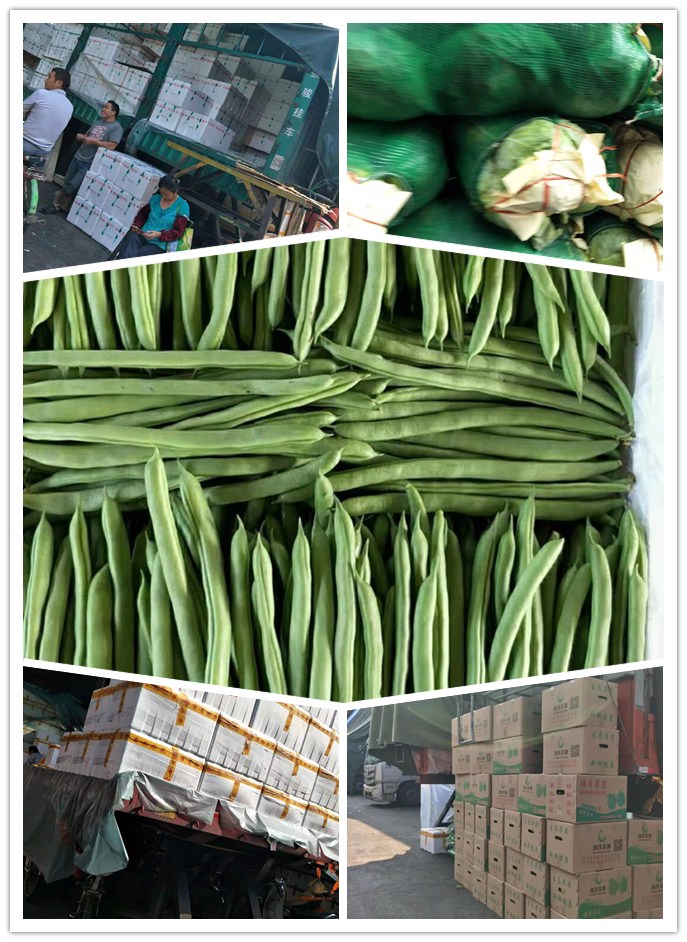 XPJ(中国大陆)有限公司官网