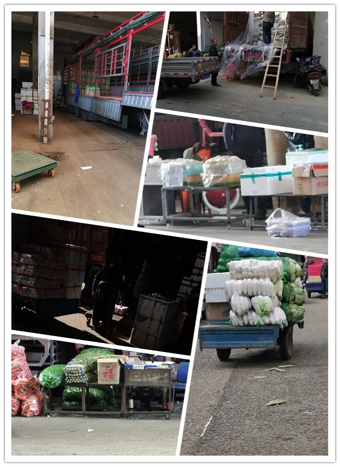 XPJ(中国大陆)有限公司官网