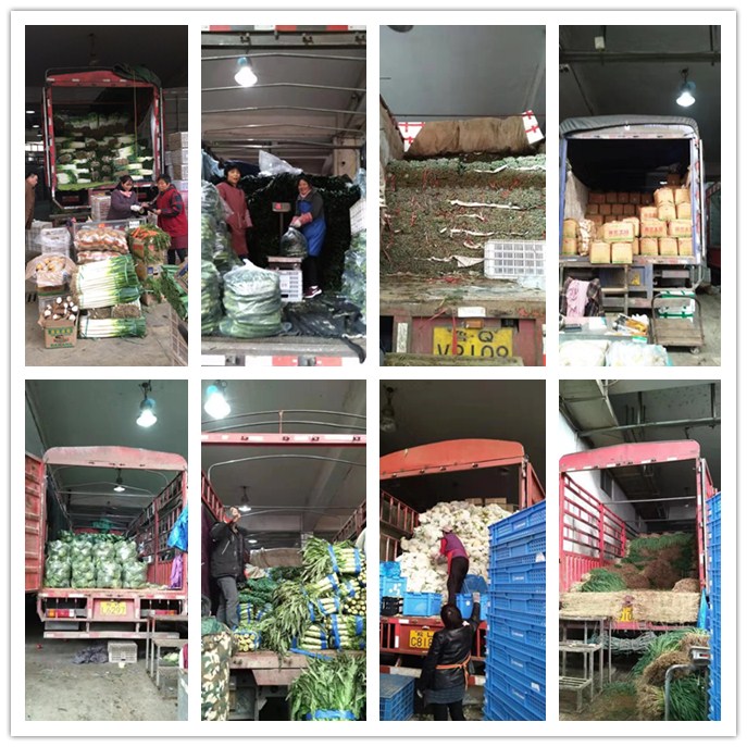 XPJ(中国大陆)有限公司官网