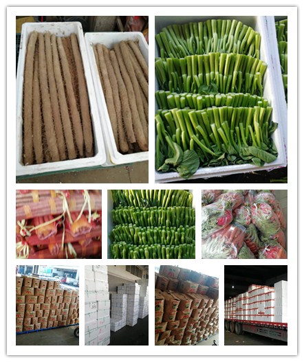 XPJ(中国大陆)有限公司官网