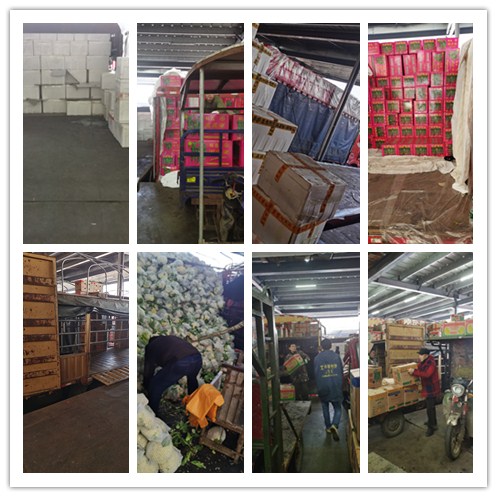 XPJ(中国大陆)有限公司官网