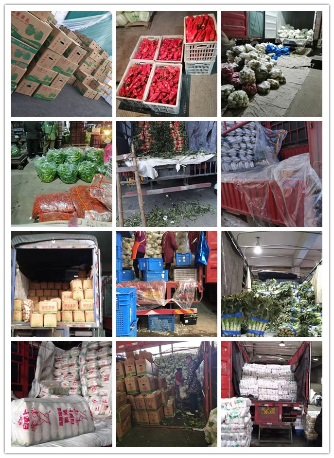 XPJ(中国大陆)有限公司官网