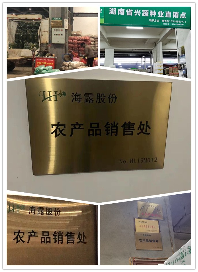 XPJ(中国大陆)有限公司官网