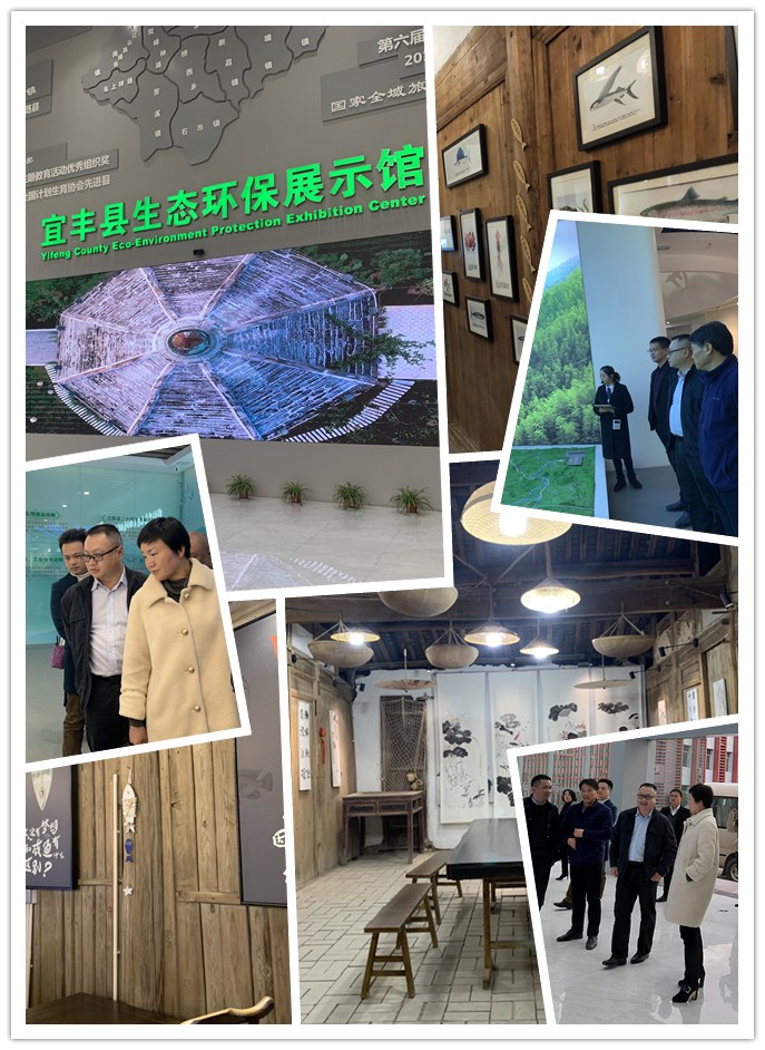 XPJ(中国大陆)有限公司官网