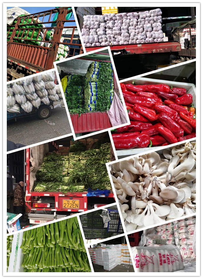 XPJ(中国大陆)有限公司官网