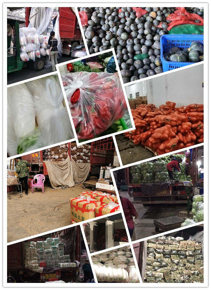 XPJ(中国大陆)有限公司官网