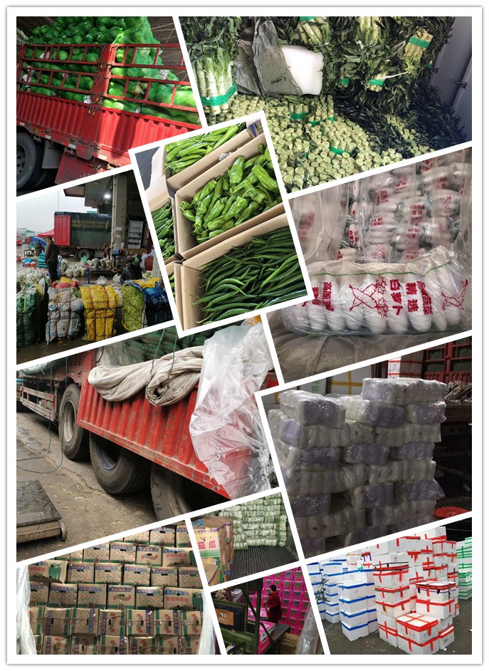 XPJ(中国大陆)有限公司官网