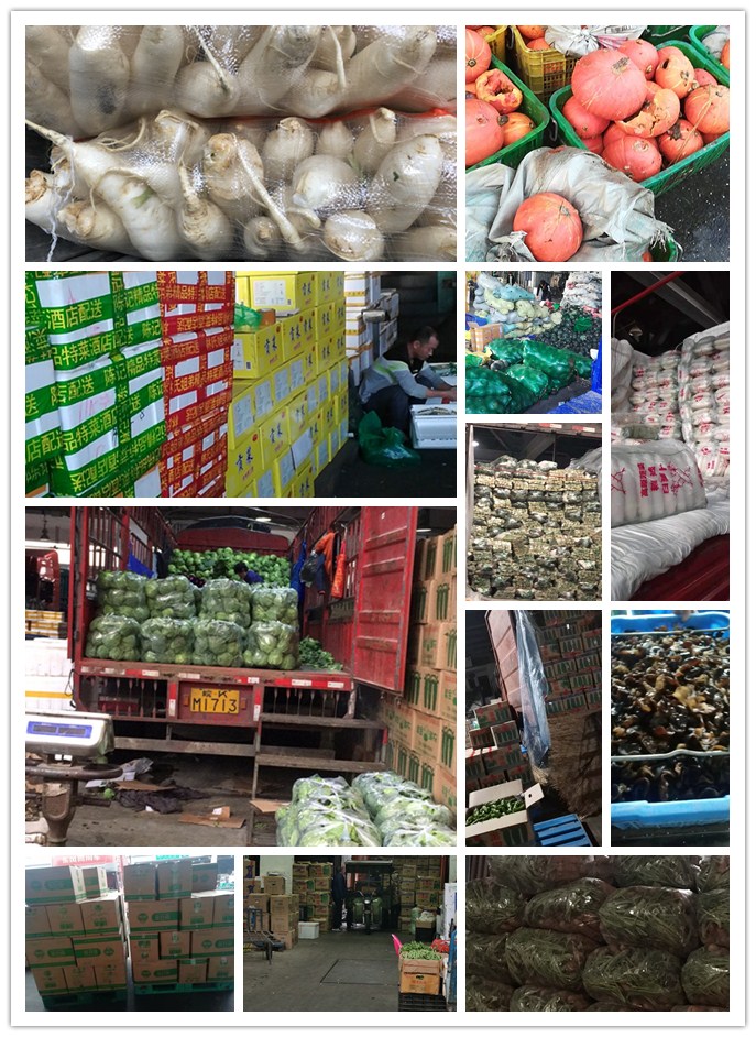 XPJ(中国大陆)有限公司官网