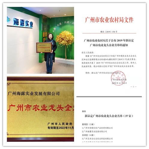 XPJ(中国大陆)有限公司官网