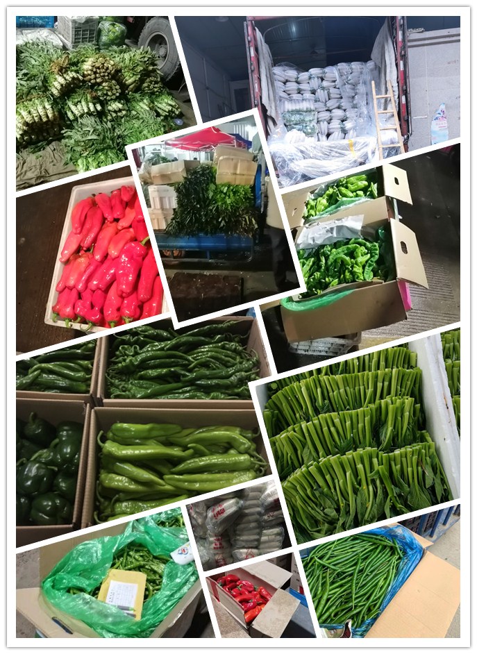 XPJ(中国大陆)有限公司官网