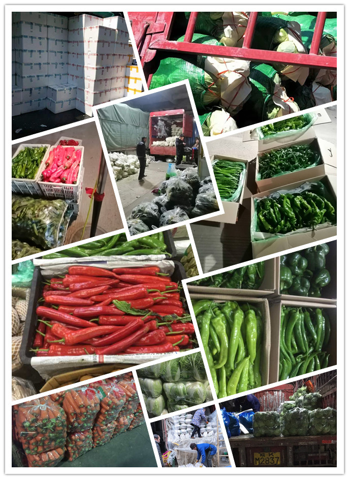 XPJ(中国大陆)有限公司官网