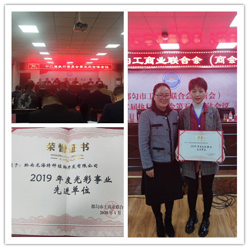 XPJ(中国大陆)有限公司官网