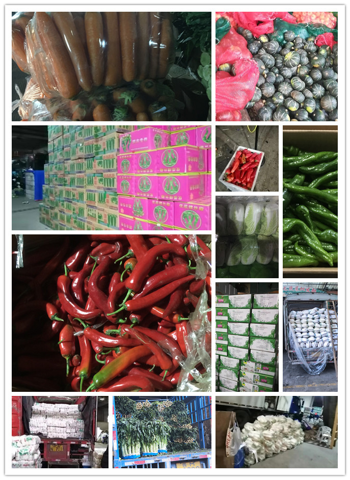 XPJ(中国大陆)有限公司官网