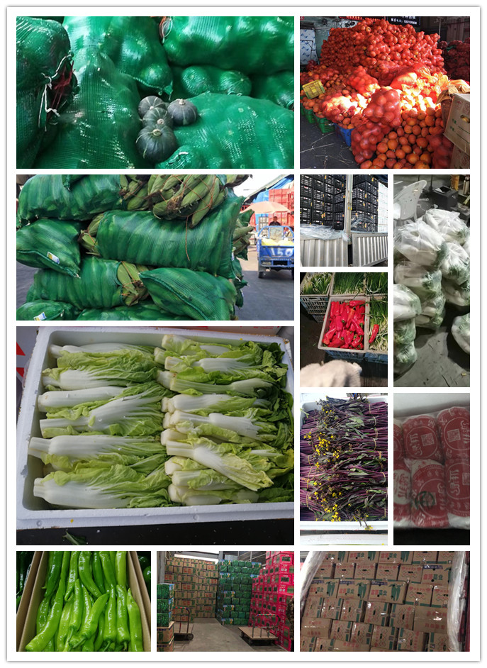 XPJ(中国大陆)有限公司官网