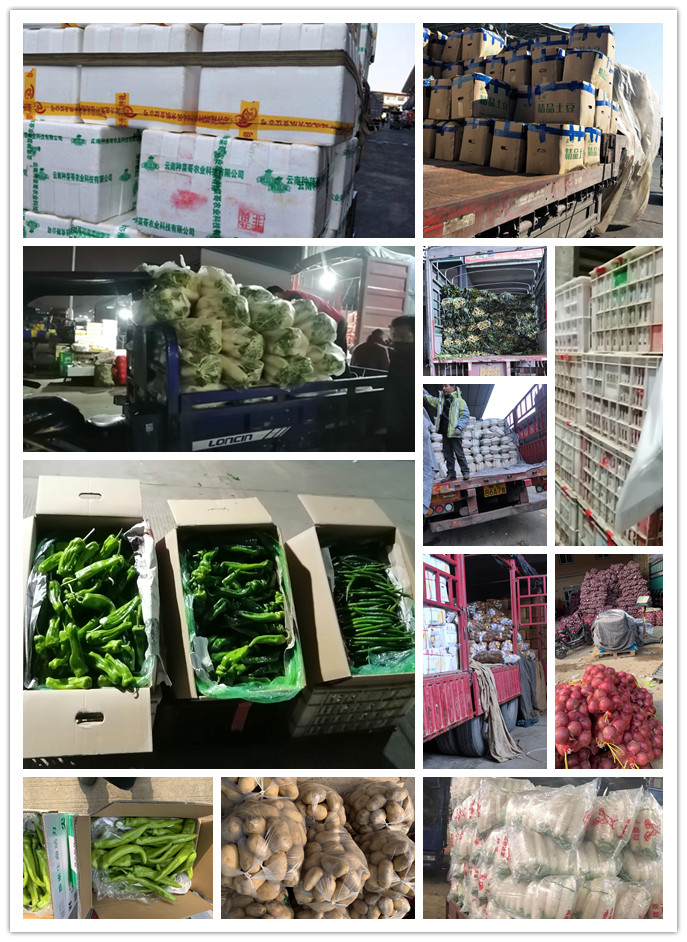 XPJ(中国大陆)有限公司官网