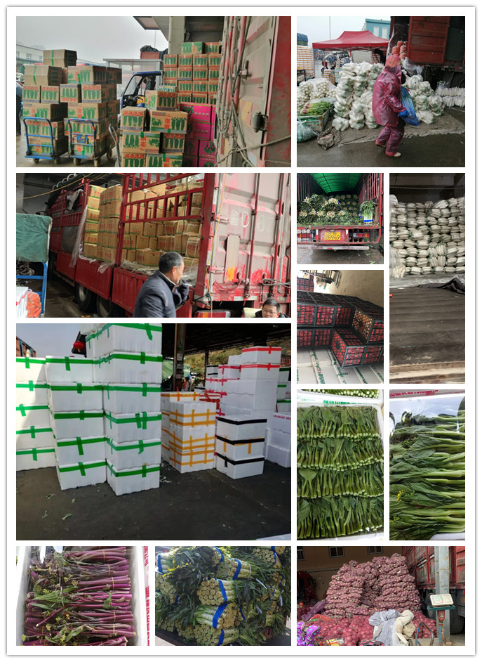 XPJ(中国大陆)有限公司官网