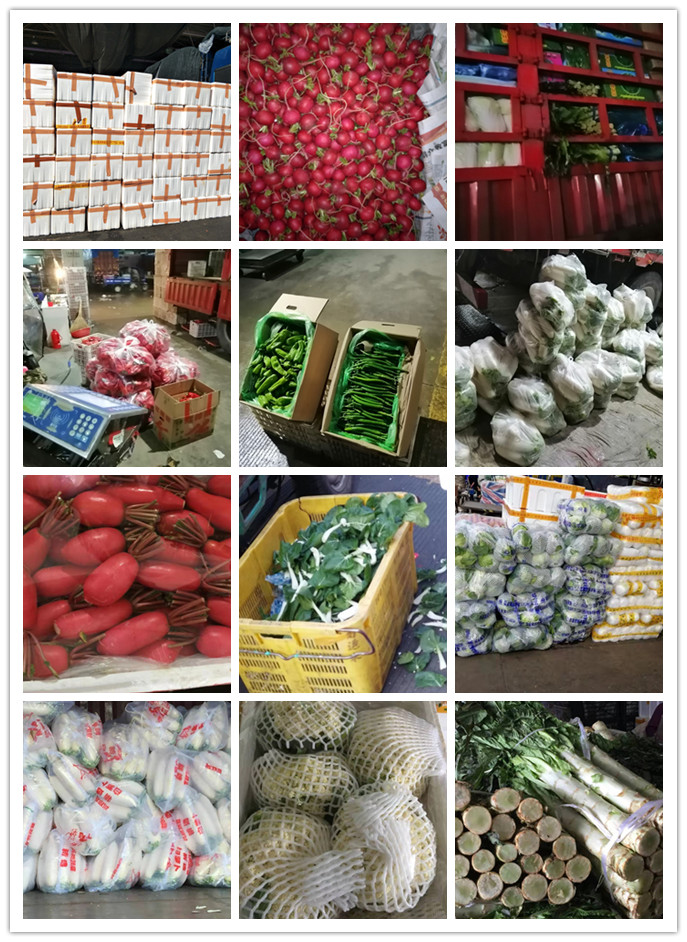 XPJ(中国大陆)有限公司官网