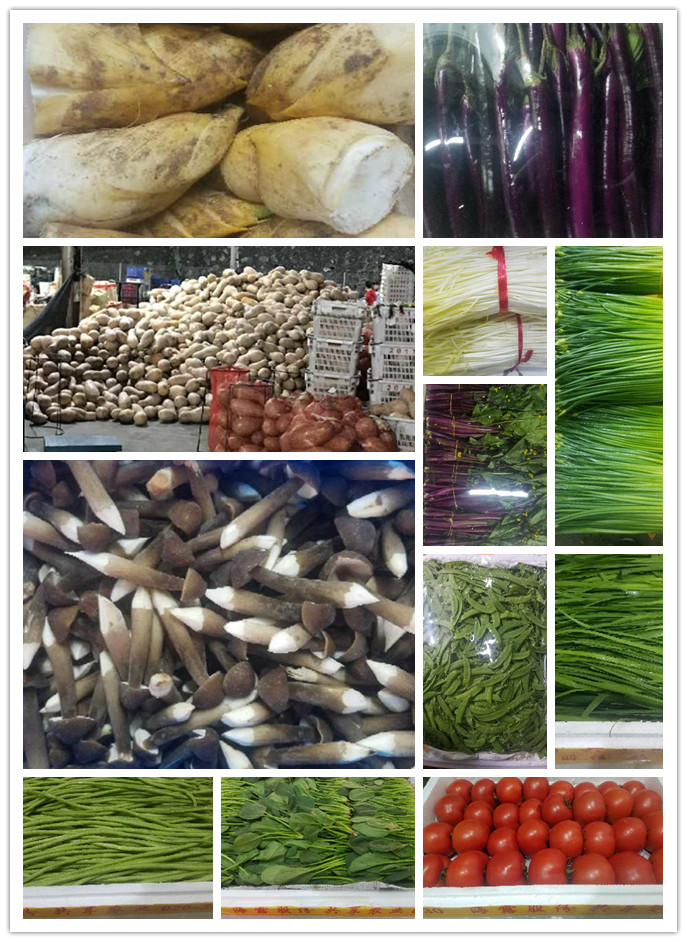 XPJ(中国大陆)有限公司官网