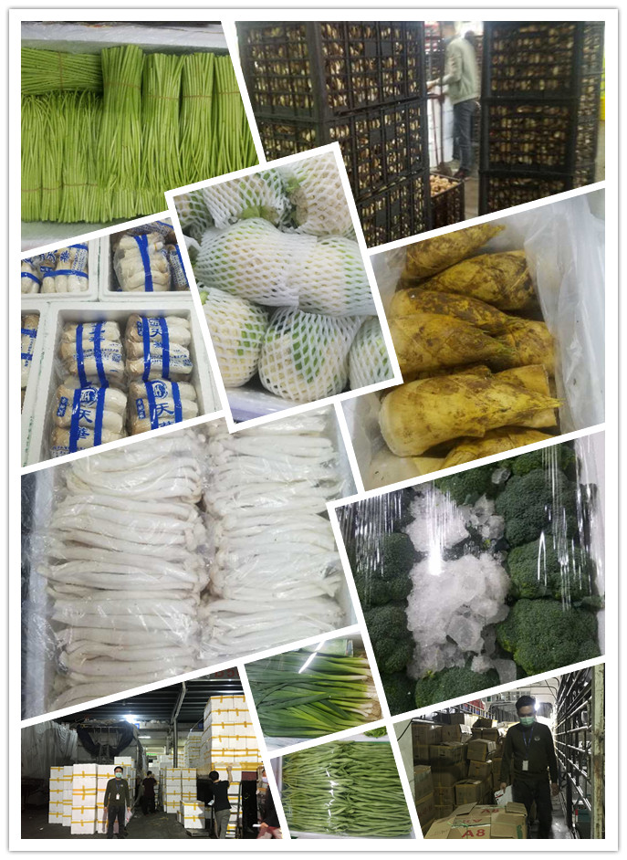 XPJ(中国大陆)有限公司官网