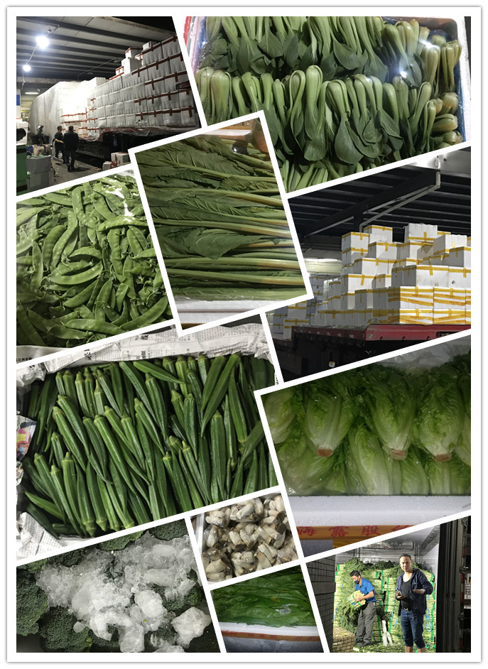 XPJ(中国大陆)有限公司官网