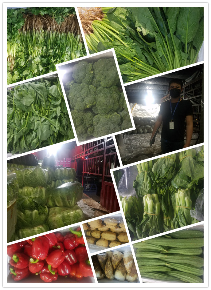 XPJ(中国大陆)有限公司官网