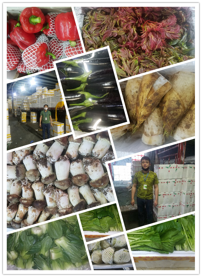 XPJ(中国大陆)有限公司官网