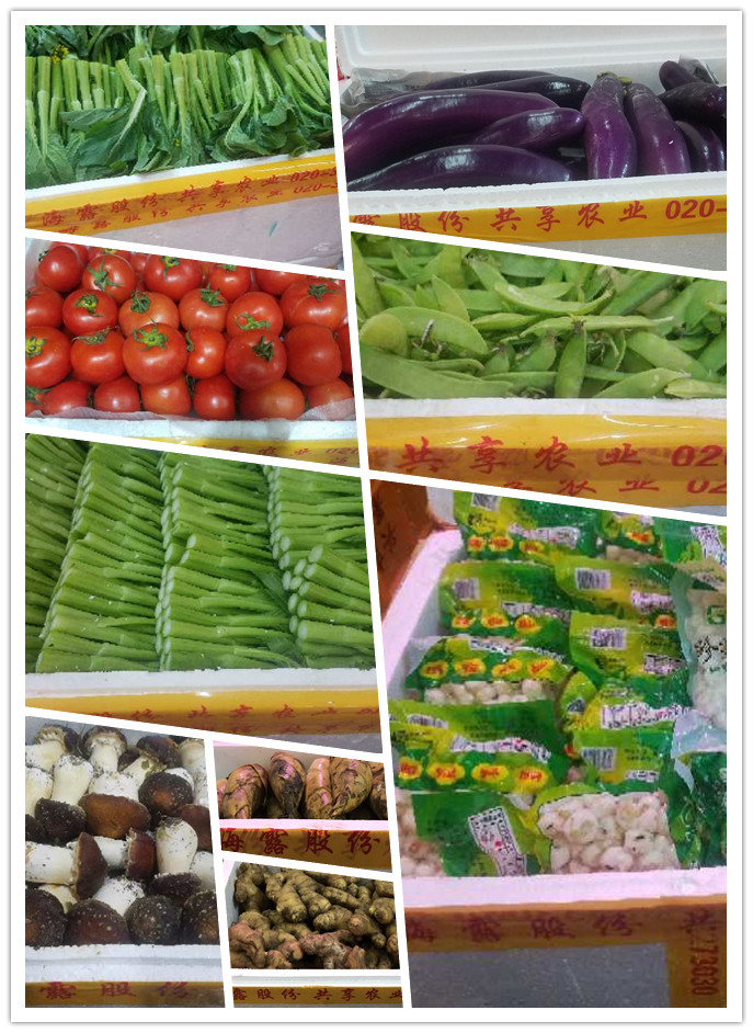 XPJ(中国大陆)有限公司官网