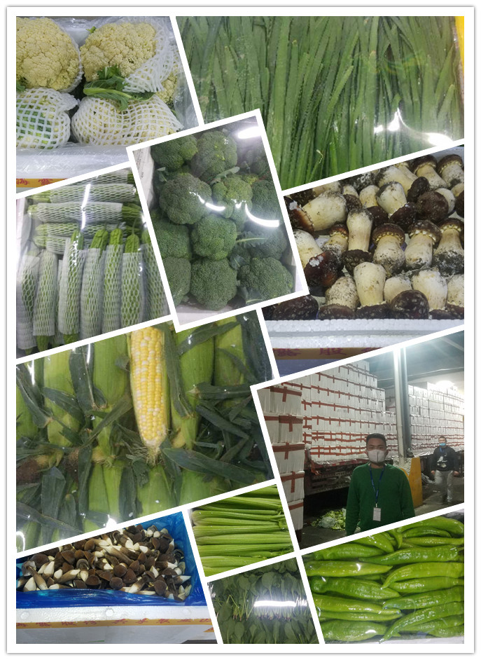 XPJ(中国大陆)有限公司官网