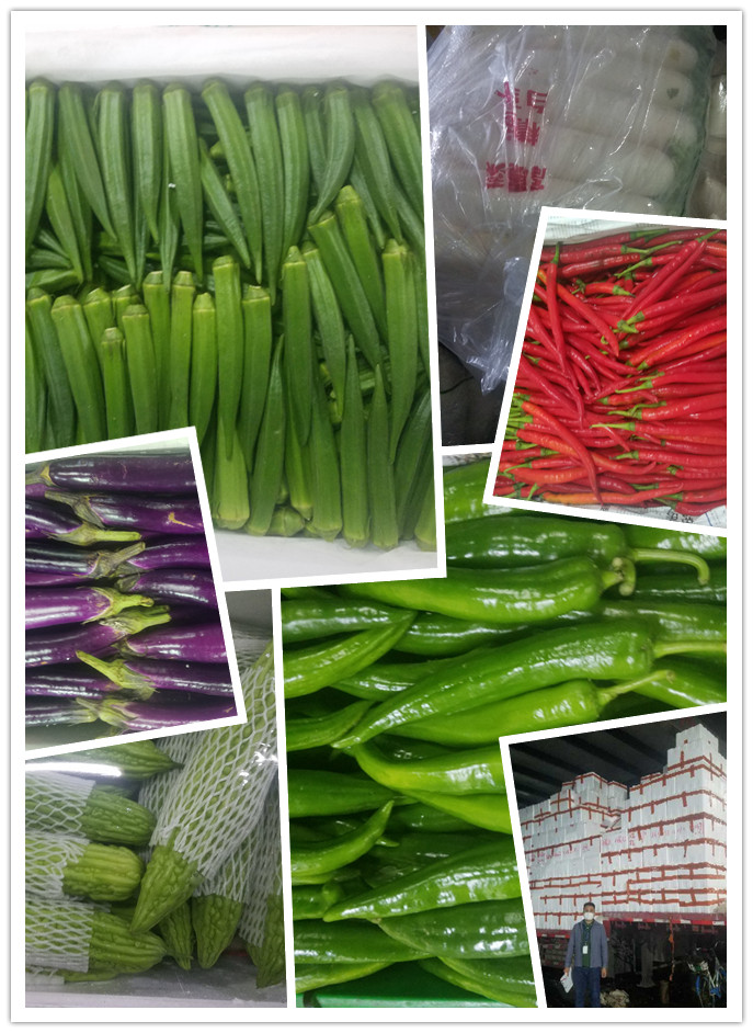 XPJ(中国大陆)有限公司官网