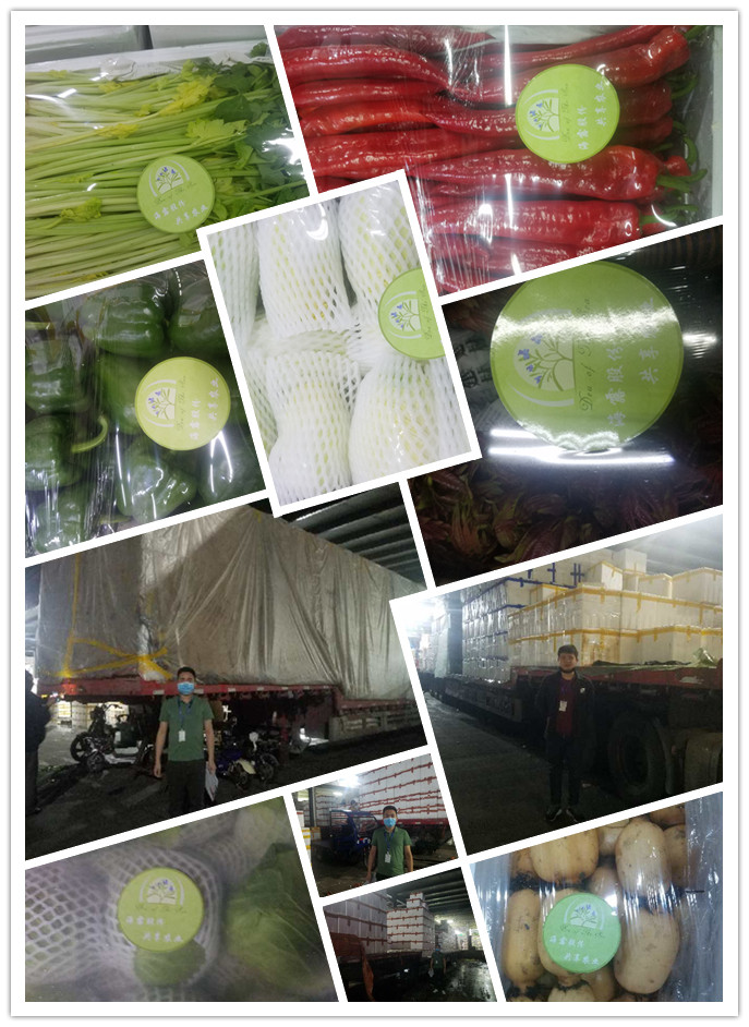 XPJ(中国大陆)有限公司官网