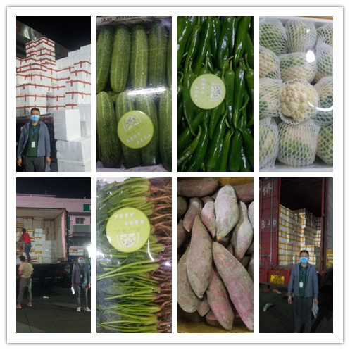 XPJ(中国大陆)有限公司官网