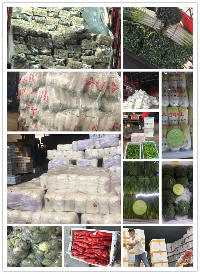 XPJ(中国大陆)有限公司官网