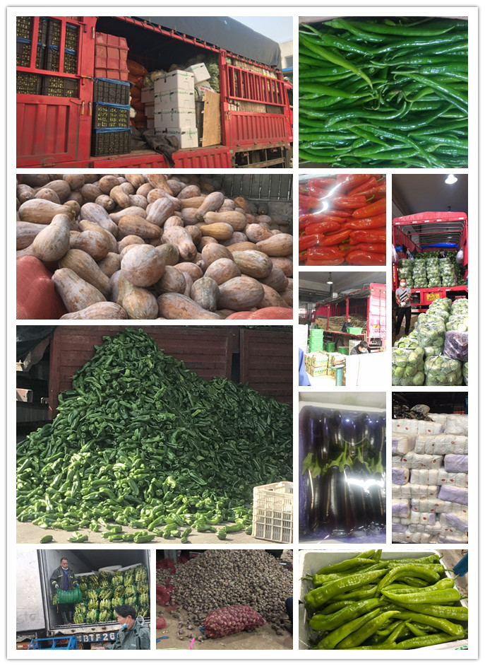 XPJ(中国大陆)有限公司官网