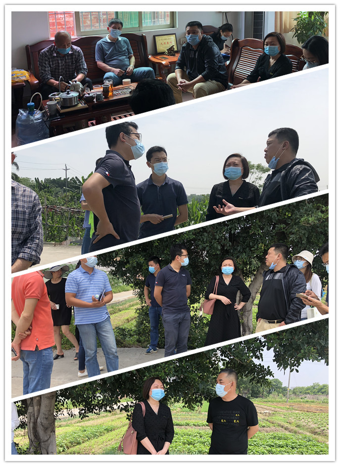 XPJ(中国大陆)有限公司官网