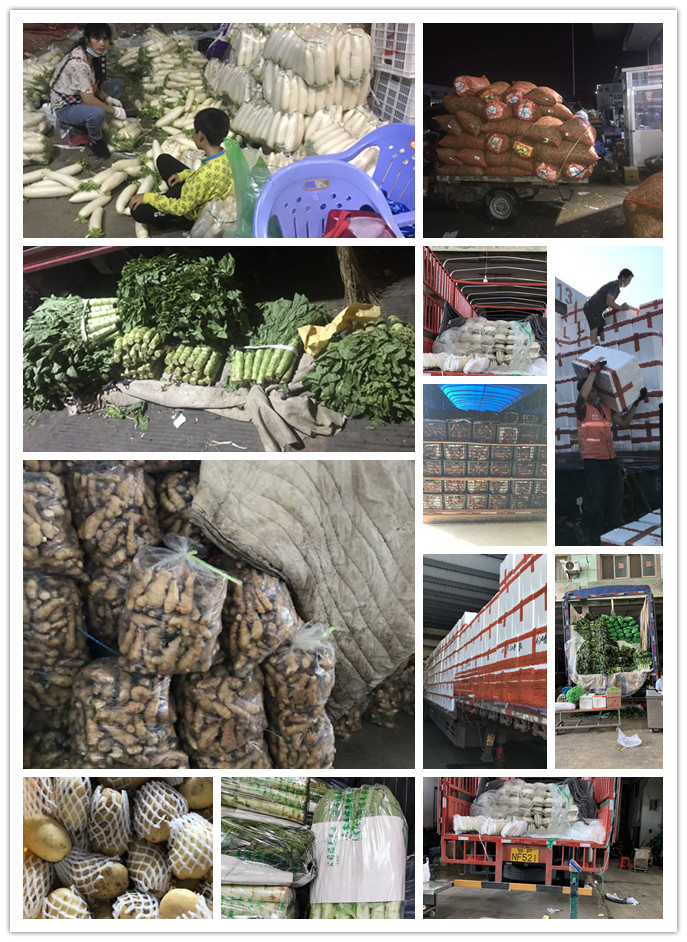 XPJ(中国大陆)有限公司官网