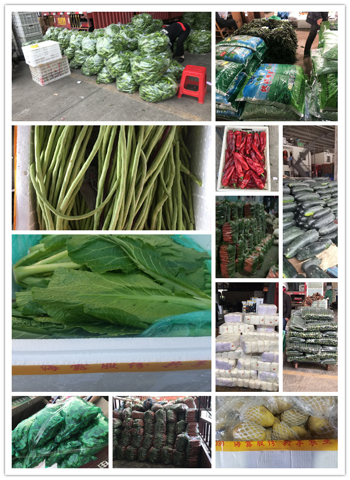 XPJ(中国大陆)有限公司官网