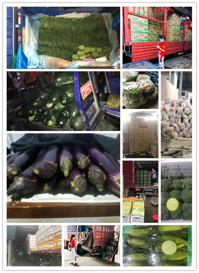 XPJ(中国大陆)有限公司官网